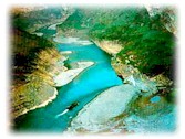 a_yangtze.jpg (10784 bytes)